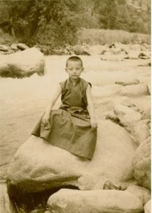 YoungRinpoche