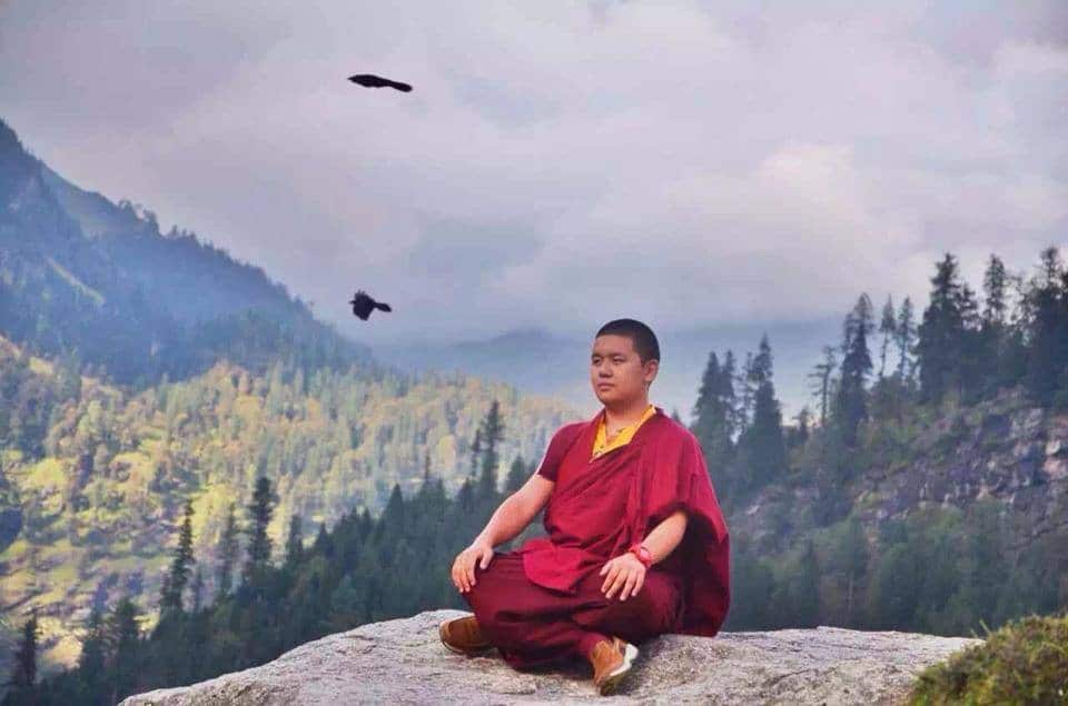 Yangsi Rinpoche